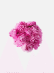 The Peony