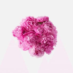 product_floral_2a
