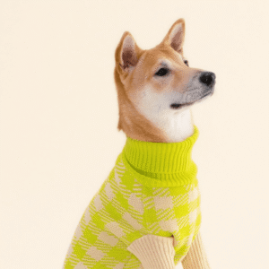 product_pet_clothes_8c