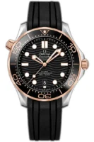 Seamaster 300 B07